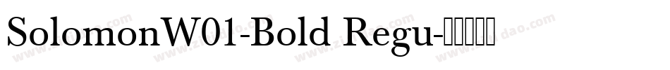 SolomonW01-Bold Regu字体转换